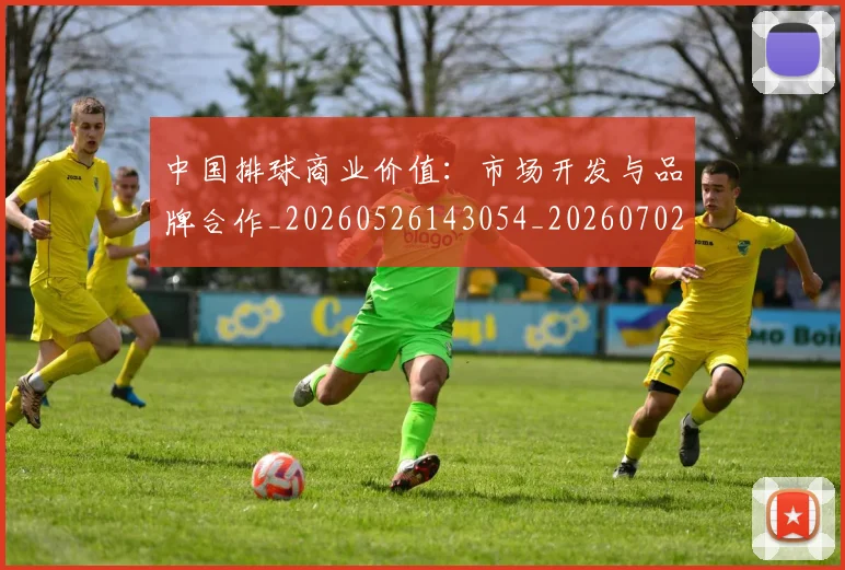 中国排球商业价值:市场开发与品牌合作_20260526143054_20260702202122_20260715194350