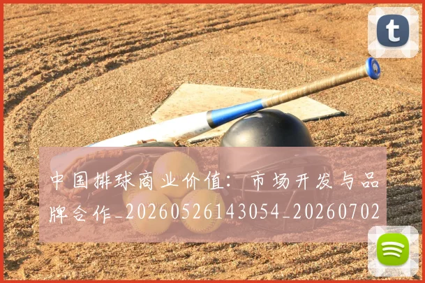 中国排球商业价值：市场开发与品牌合作_20260526143054_20260702202122