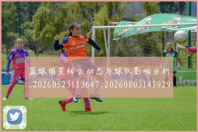 篮球明星转会动态与球队影响分析_20260523113647_20260803141929